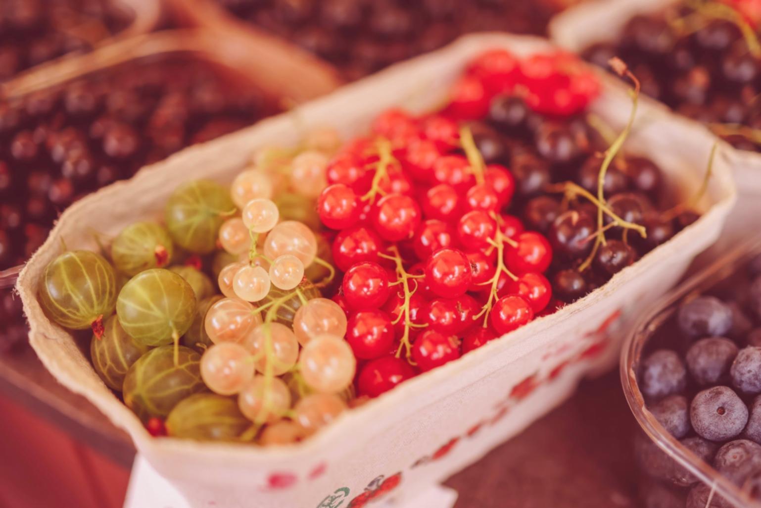 Flexible online learning platform